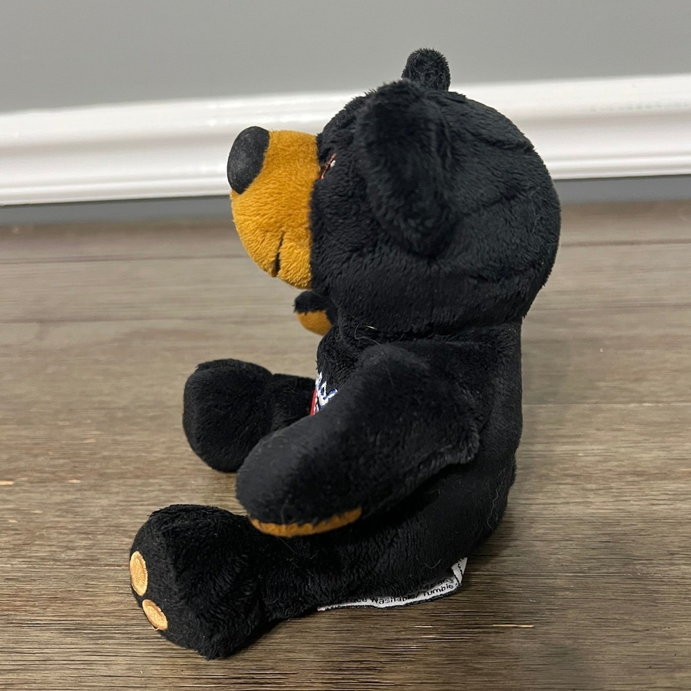 Tennessee Souvenir Plush Bear Black Beige Embroidered State Flag Souvies Toy - Picture 3 of 6